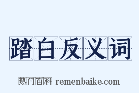 踏白反义词是什么意思的图片